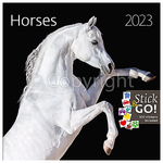 Horses LP, képes lemeznaptár 2023